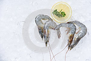 Fresh raw shrimps prawns and lemon ice background in the seafood supermarket