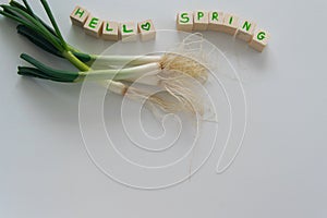 Fresh raw spring vegetables on white background