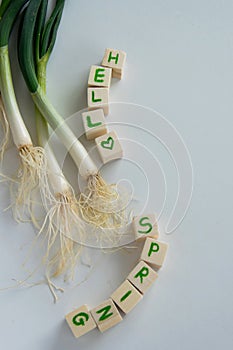 Fresh raw spring vegetables on white background