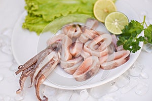 Fresh raw squid with lettuce vegetable salad seafood coriander lemon lime on white plate background, squid rings on ice