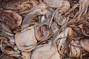 Fresh raw squid in market
