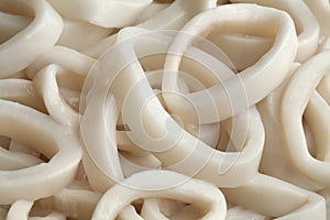 Fresh raw squid rings