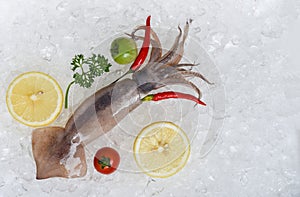 Fresh raw squid seafood lemon parsley tomato and chilli on ice bucket in the restaurant