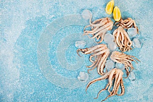 Fresh raw squid tentacles with ice on a blue concrete background, top view, copy space