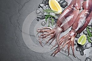 Fresh raw squids with ice, citrus fruits and arugula on black table, flat lay. Space for text