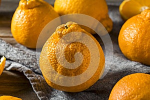 Fresh Raw Sumo Oranges