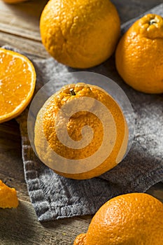 Fresh Raw Sumo Oranges