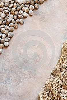 Fresh raw Surf chamelea gallina and fishnet . Top view, close up on sand concrete background