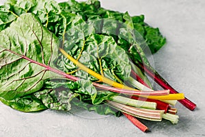 Fresh raw swiss rainbow chard leaves on gray background.