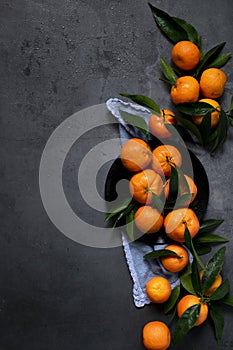 Fresh raw tangerine on dark background, healthy food ingredients