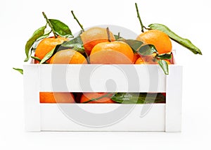 Fresh and raw tangerines with green leaves in wooden box. Isolated on white background