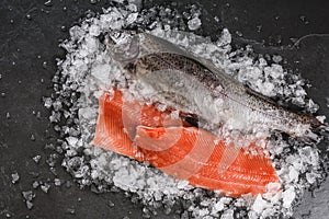 Fresh raw trout fish steak and whole fish with spices on ice over dark stone background. Creative layout made of fish, top view