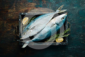 Fresh raw tuna fish with spices on a dark background.