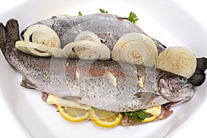 Fresh, raw two trout lying on a plate, stuffed with butter, onion, parsley and lemon slices, isolated on a white background with a