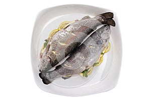 Fresh, raw two trout lying on a plate, stuffed with butter, parsley and lemon slices, isolated on a white background with a clippi