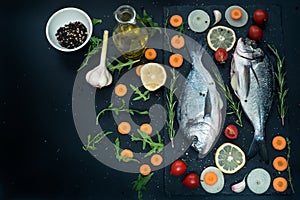 Fresh raw uncooked dorado fish with lemon, herbs, oil, vegetables and spices on black backdrop, top view