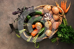 Fresh raw vegetables of the new crop, potatoes, onions, carrots, garlic, cucumbers, basil and parsley in a basket on a dark rustic