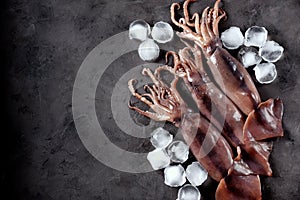 Fresh raw whole squid on a dark granite background. Top view. Copy space.