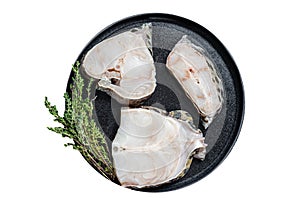 Fresh Raw wolffish o wolf fish Steak on a plate. Isolated, white background. Top view.