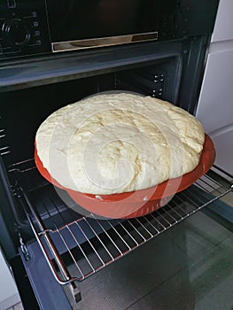 Fresh raw yeast dough in a plate after proofing for bread and pizza.