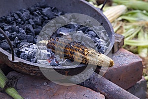 Fresh Raw Yellow corn roasted on fire from black carbons