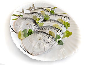 Fresh Razor moonfish/Razor Trevally Fish