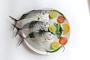 Fresh Razor moonfish/Razor Trevally Fish