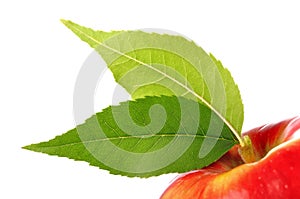 Fresh red apple with green leaf isolated on white