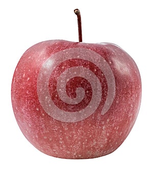 Fresh red apple isolated with clipping path