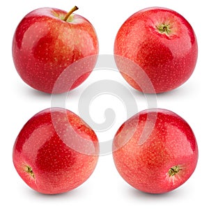 Fresh red apple isolated on white. Collection. With clipping path