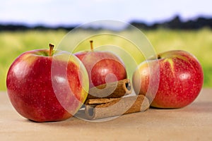 Fresh red apple james grieve with field behind