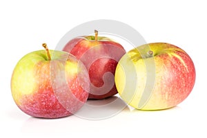 Fresh red apple james grieve isolated on white