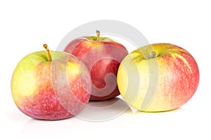 Fresh red apple james grieve isolated on white photo