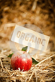 Fresh red apple on straw, tagged as