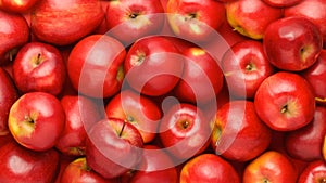 Fresh red apples,apples background isolated on white background
