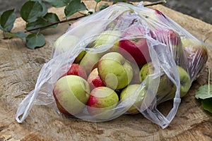Fresh red apples in a bag