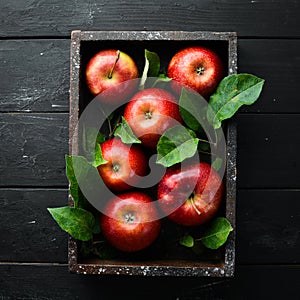 Fresh red apples with green leaves on a black background. Fruits. Top view.