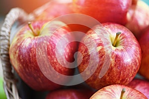 Fresh Red Apples Orchard - harvest apple in the basket collect fruit garden