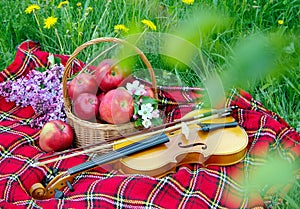 Fresh red apples in a wicker basket in the garden. Picnic on the grass. Ripe apples and violin. Plaid on the grass, apples, violin