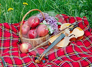 Fresh red apples in a wicker basket in the garden. Picnic on the grass. Ripe apples and violin. Plaid on the grass, apples, violin