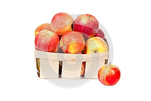 Fresh red apples in wooden basket isolated, autumn harvest