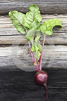 Fresh red beetroot with leaves on a wooden background