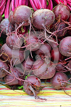 Fresh red beets