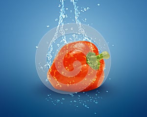 Fresh red bell pepper