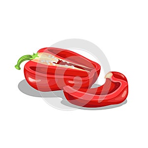 Fresh red bell peppers group. Cartoon flat style icon. Red halved pepper and paprika slice vector illustration. Vegetable farm fre