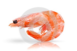 One tasty fresh red boiled cooked shrimp isolated on white background