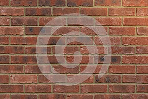 Fresh Red Brick Wall Background Texture