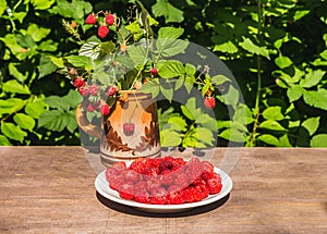 The fresh red bright raspberry berries on a white plate and an old clay mug with a simple brown pattern with raspberry