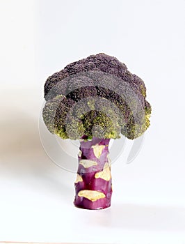 Fresh red broccoli on white background photo