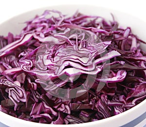 Fresh red cabbage
